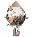 Papatya & Gerbera