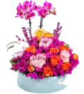 Mini Orkide