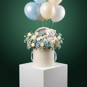 Yenidoğan Bebek Hediyesi Balon ve Peluş Kutusu - Görsel 1